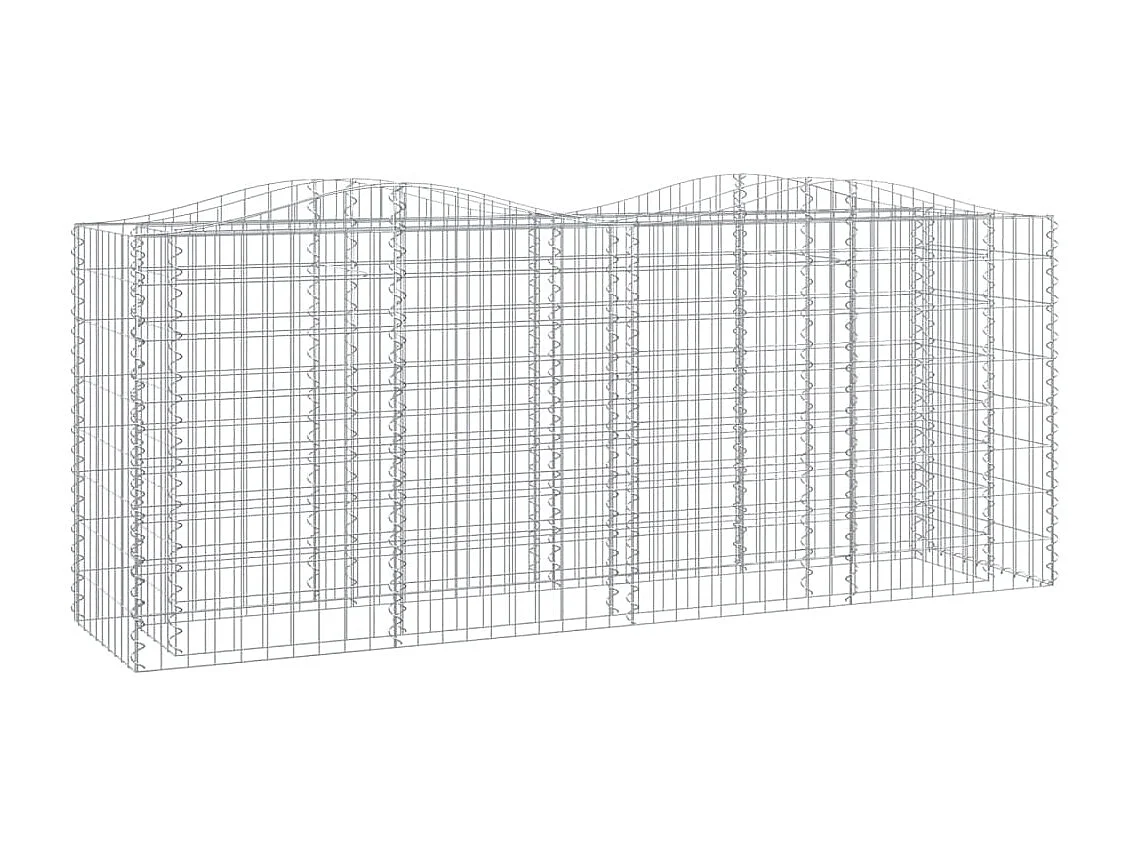 Jardinière Lit surélevé à gabions arqué 200x50x100 cm Fer galvanisé BE1420