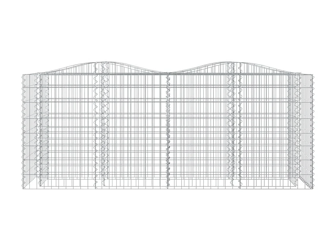 Jardinière Lit surélevé à gabions arqué 200x50x100 cm Fer galvanisé BE1420