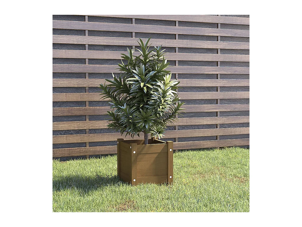 Jardinière extérieur Marron miel 31x31x31 cm Bois de pin massif BE5822