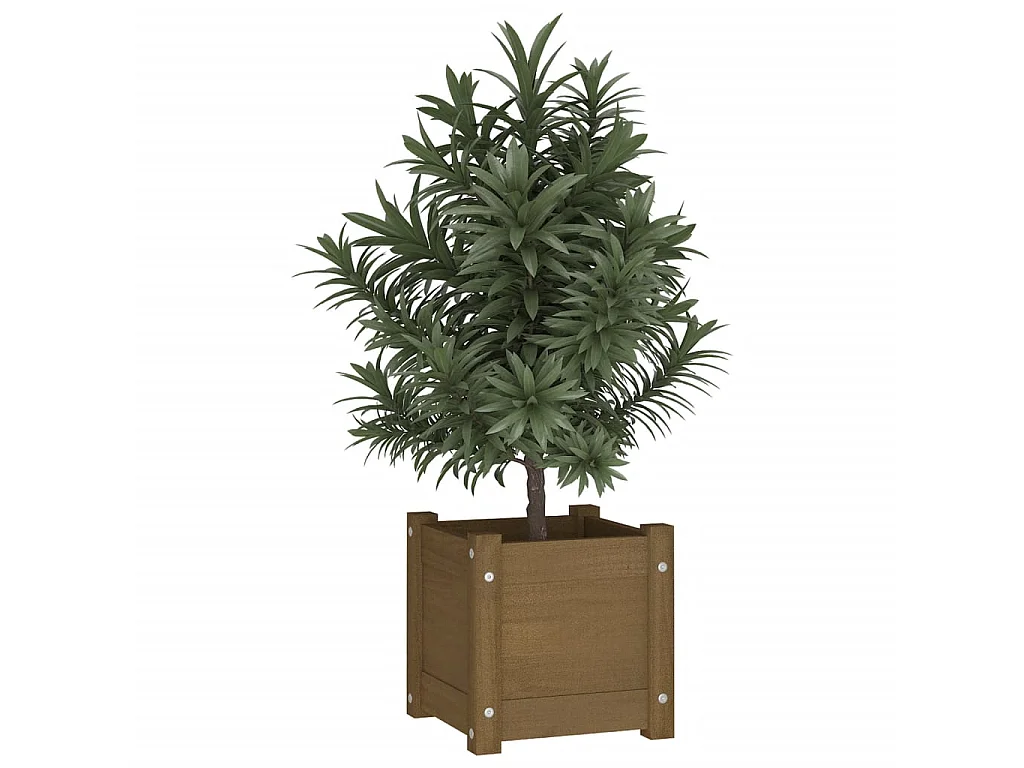 Jardinière extérieur Marron miel 31x31x31 cm Bois de pin massif BE5822