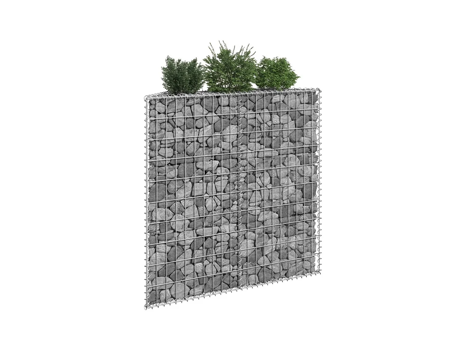 Lit surélevé à gabion en trapèze Acier galvanisé 100x20x100 cm WVGQ8501
