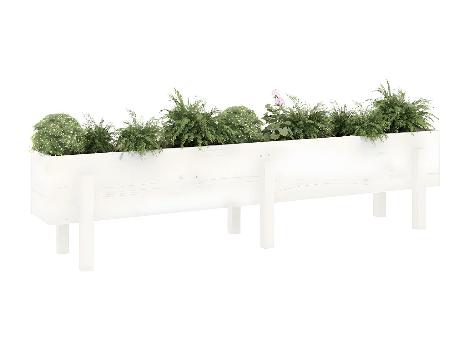 Jardinera elevado de jardín madera maciza pino blanco 160x30x38cm ES17450