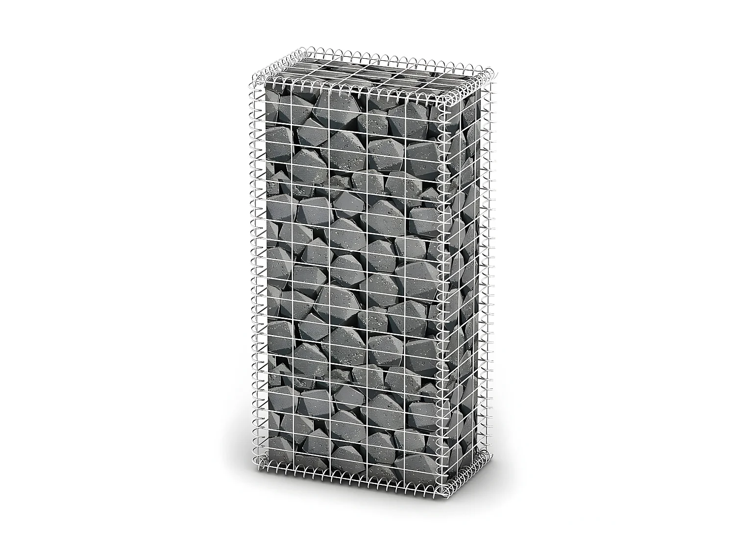 Mur de gabion avec couvercle Fil galvanisé 100 x 50 x 30 cm  WVGQ4347
