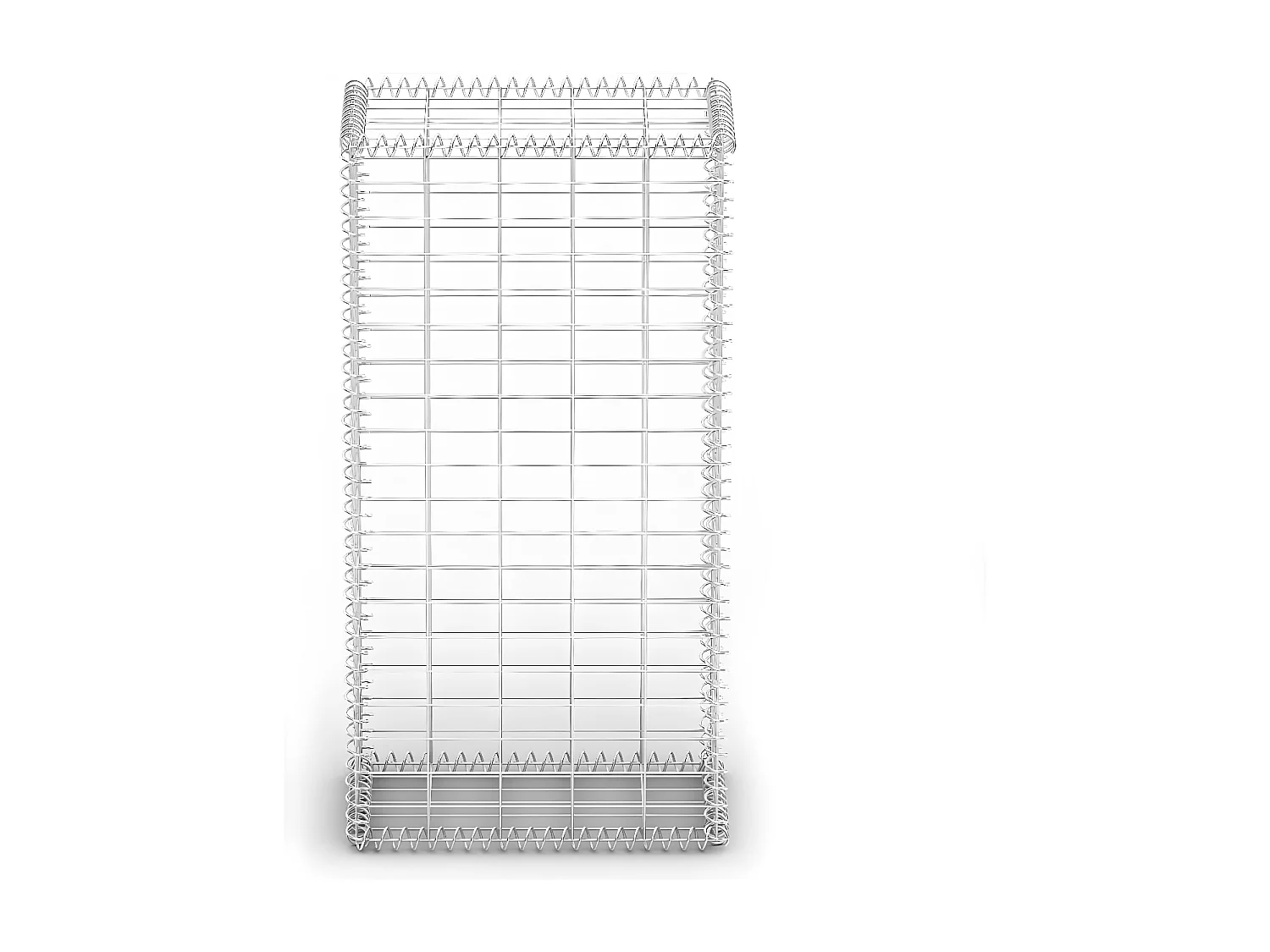 Mur de gabion avec couvercle Fil galvanisé 100 x 50 x 30 cm  WVGQ4347