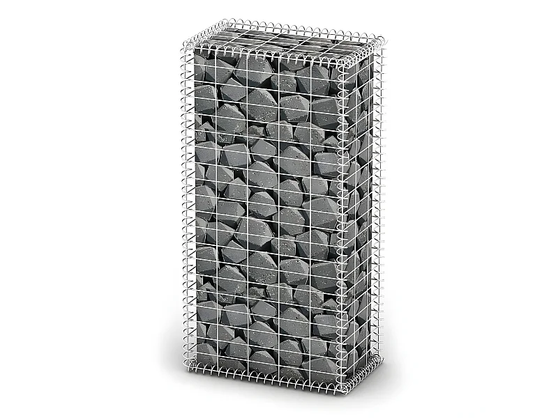 Mur de gabion avec couvercle Fil galvanisé 100 x 50 x 30 cm  WVGQ4347