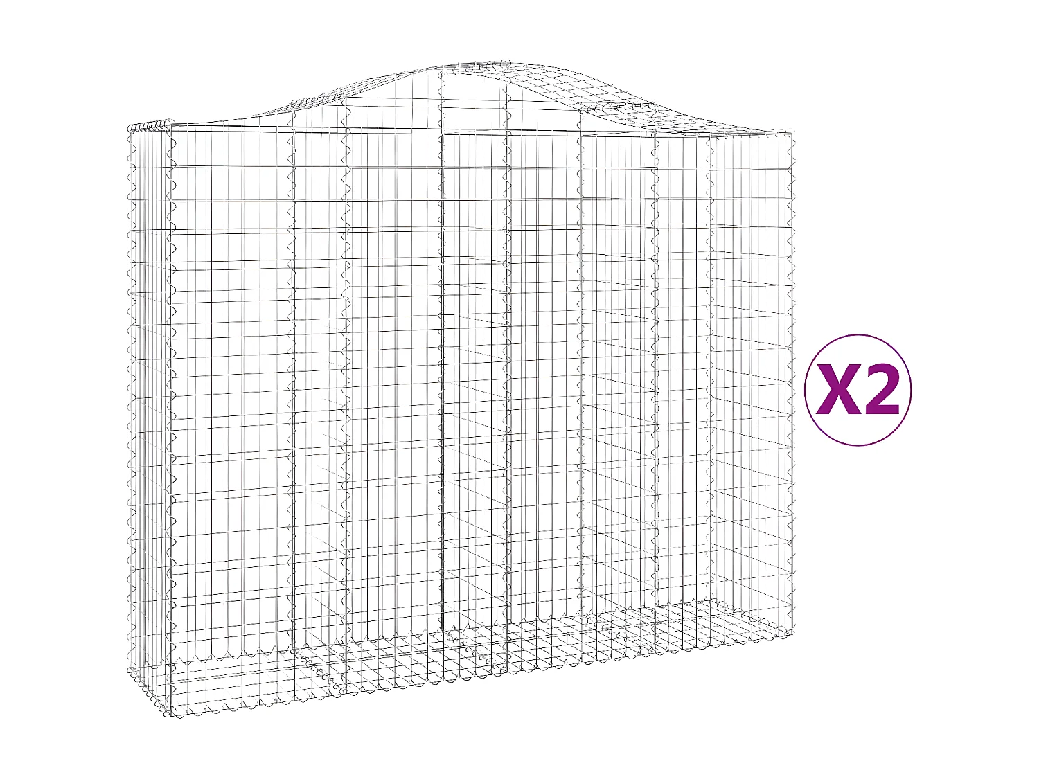 Paniers à gabions arqués 2 pcs 200x50x160/180 cm Fer galvanisé WVGQ4836