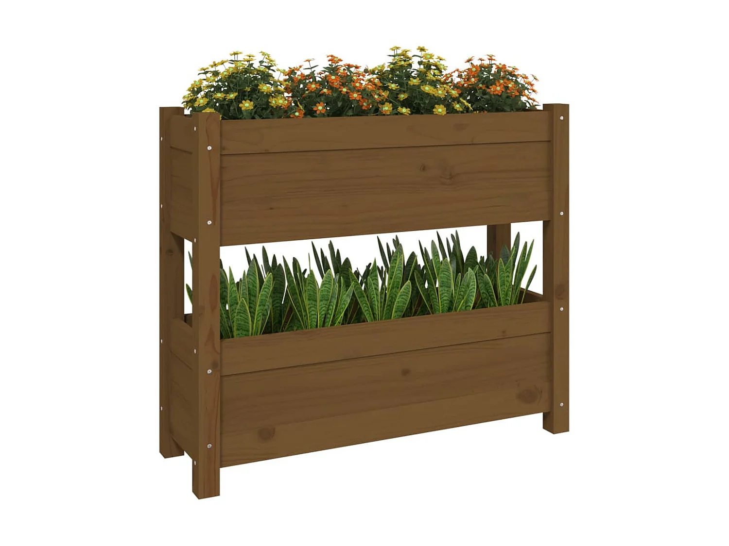 Vaso/floreira 77x25x66 cm madeira pinho maciça castanho-mel PT785768