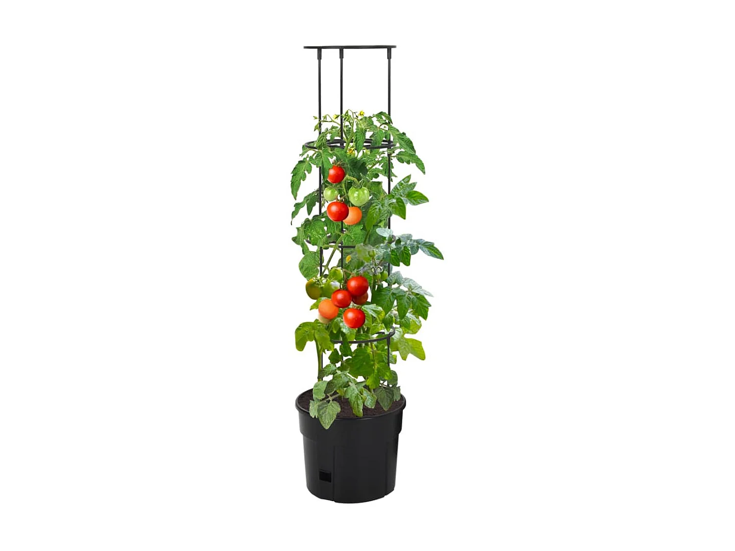 Jardinière à tomate Anthracite Ø29,5x115 cm Polypropylène BE5954