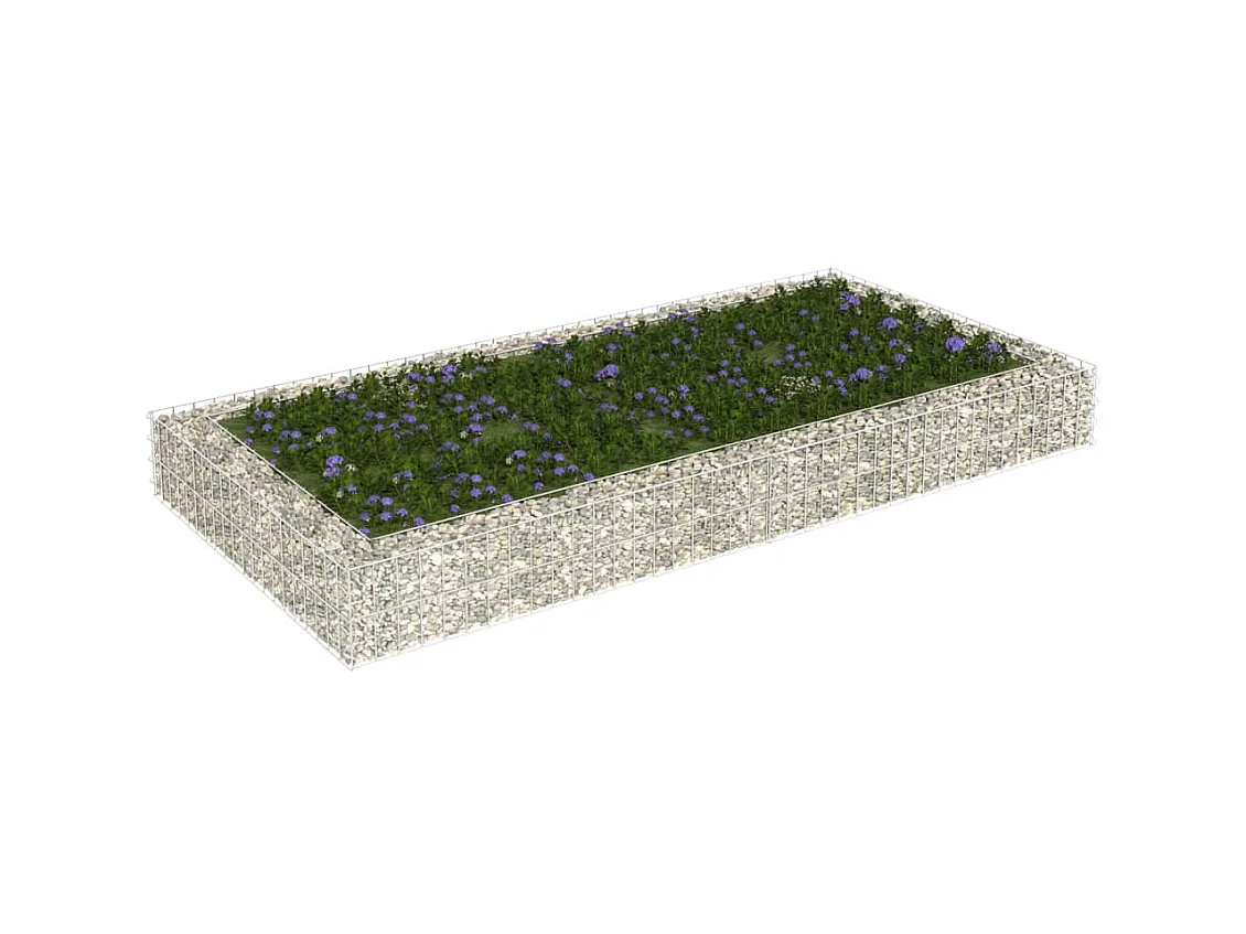 Lit surélevé à gabion Acier galvanisé 200x100x20 cm WVGQ8894