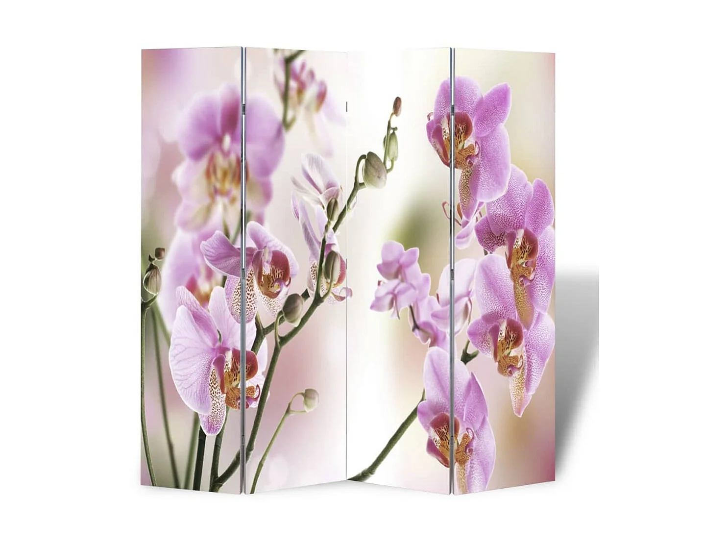 Biombo dobrável com estampa de flores 160x170 cm PT552474