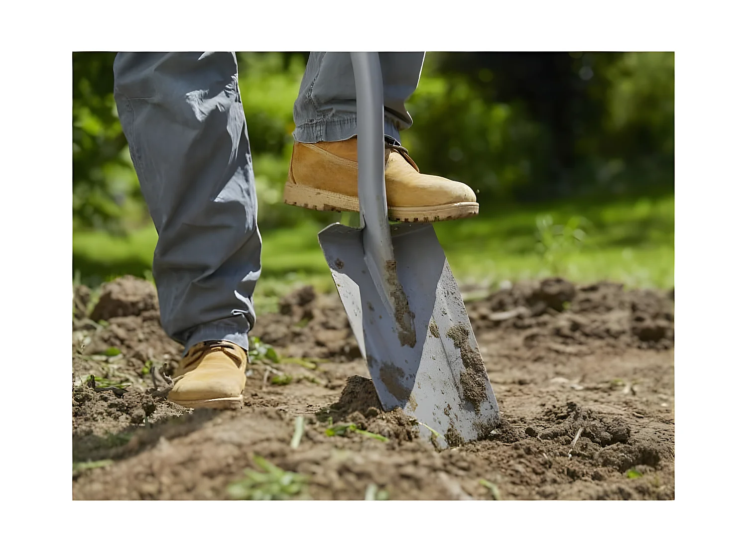 Beche a bord pointu ErgoLine – Poignée ergonomique en D – Repose pied large – Longueur 117cm – Garantie 25 ans