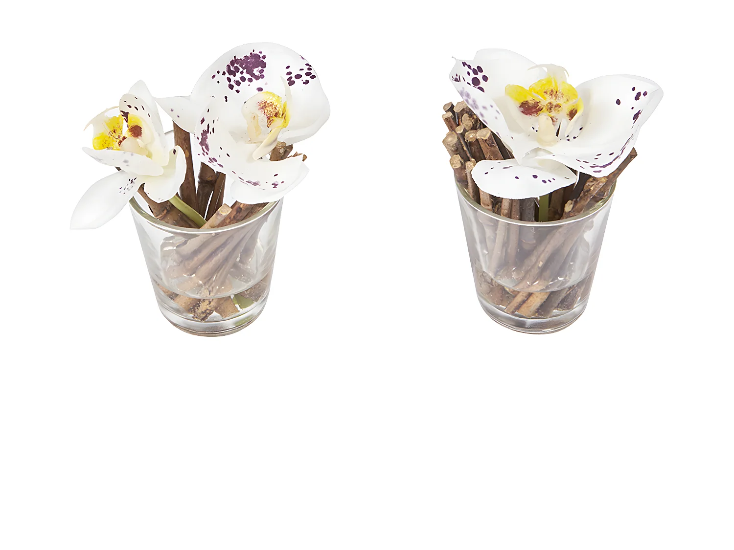 Orchidées Artificielles en Illusion d'Eau Sissi - Blanc