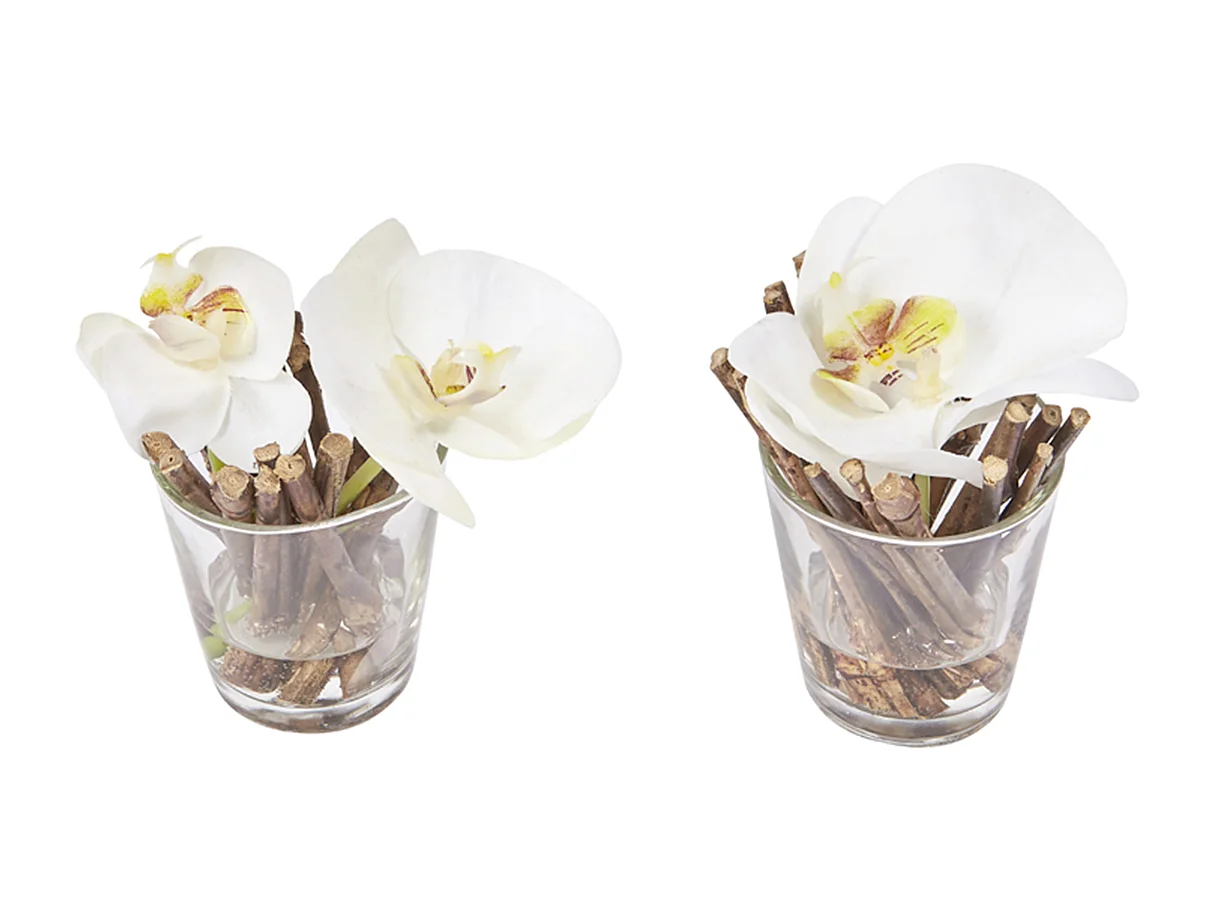 Orchidées Artificielles en Illusion d'Eau Sissi - Violet