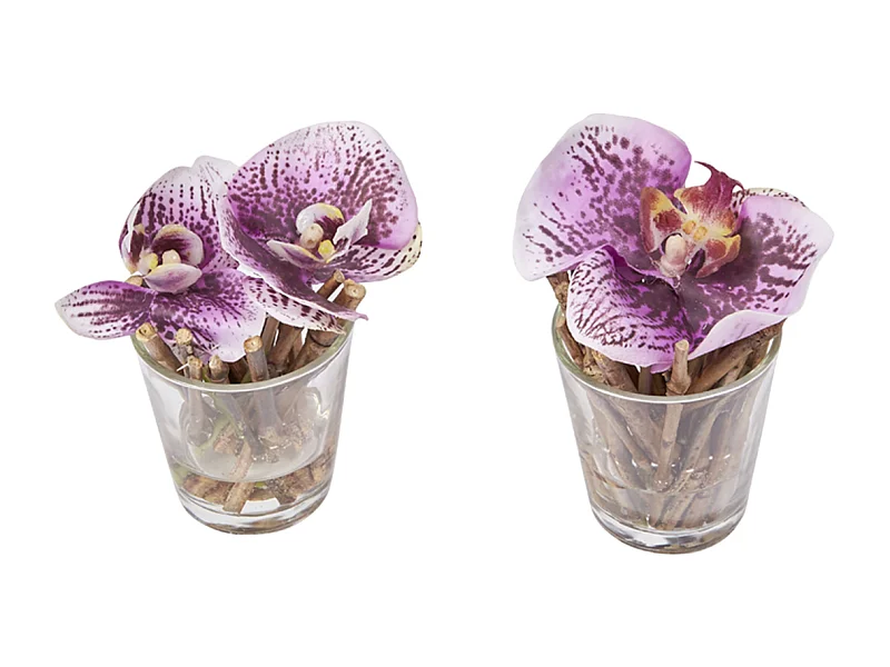 Orchidées Artificielles en Illusion d'Eau Sissi - Violet