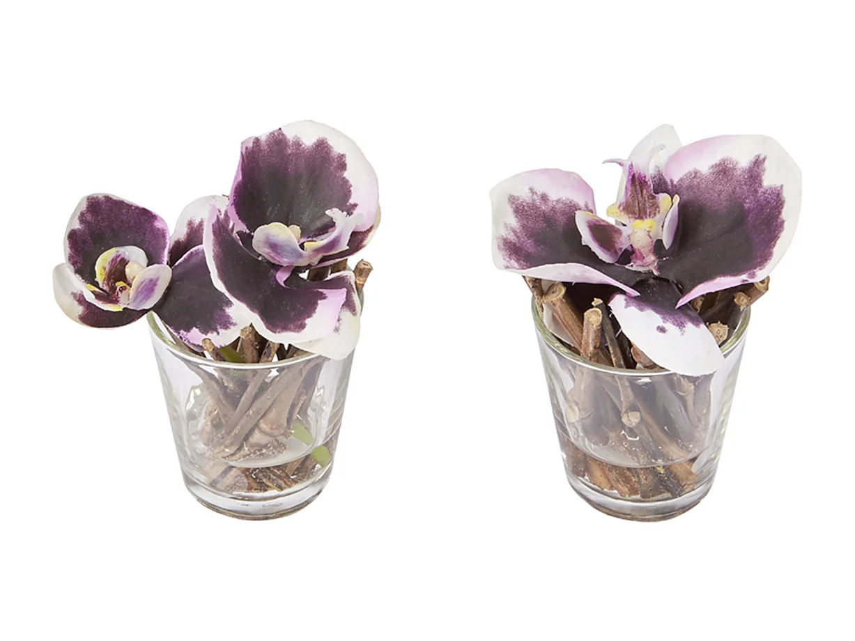 Orchidées Artificielles en Illusion d'Eau Sissi - Fuchsia