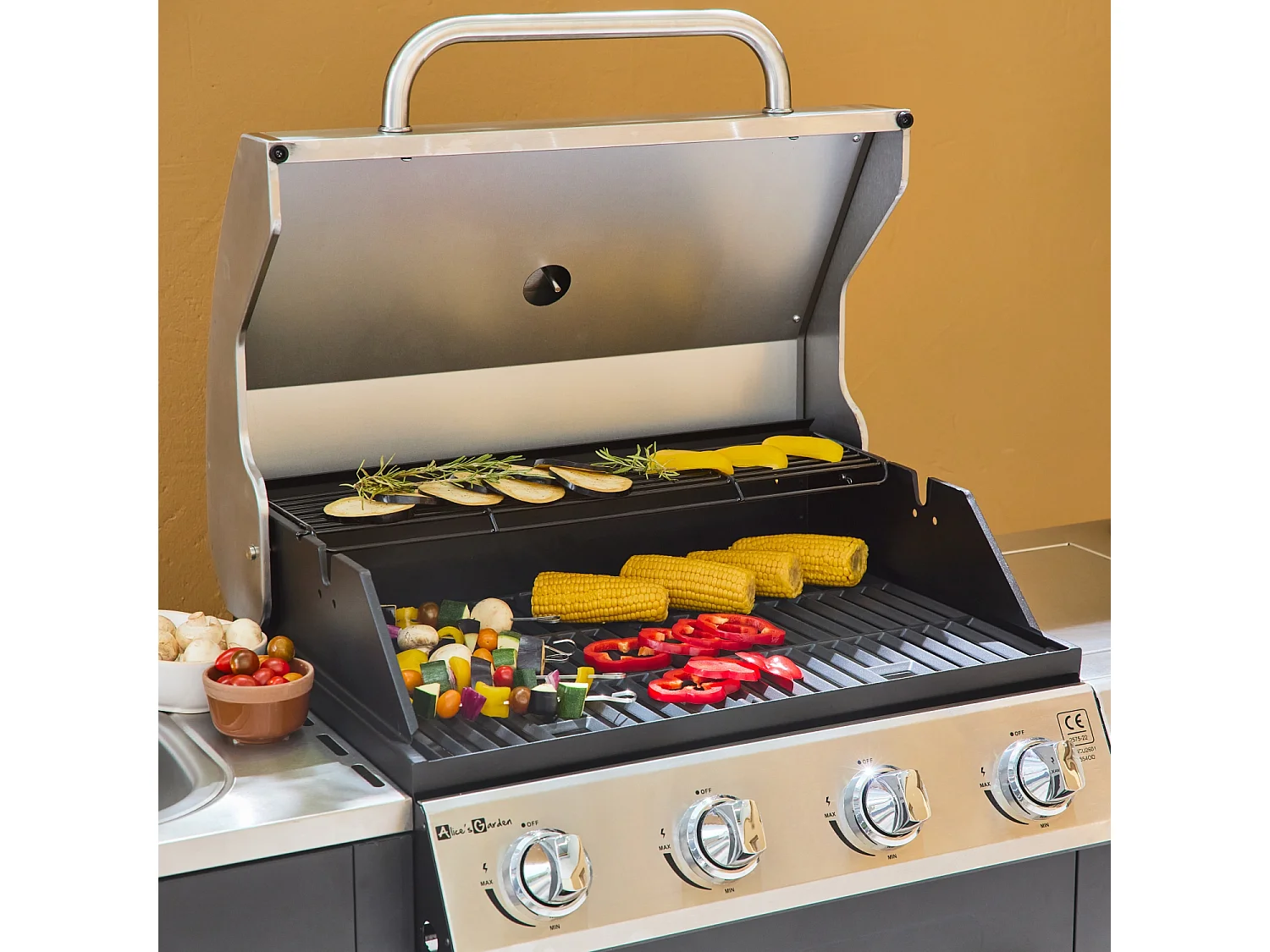 Barbacoa de gas de 5 quemadores con 1 quemador lateral negro