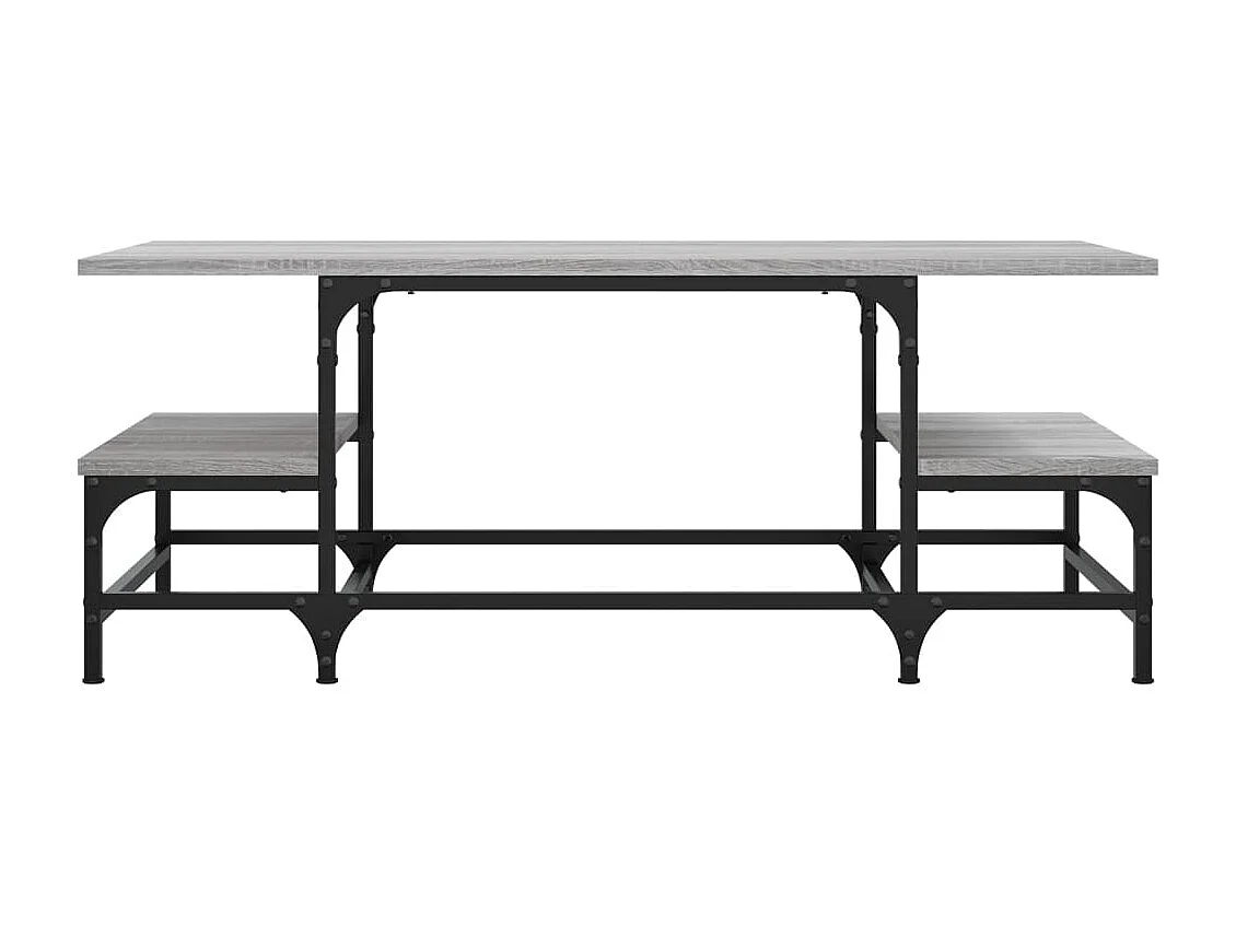 Couchtisch Beistelltisch Grau Sonoma 100x50,5x40 cm Holzwerkstoff -MN49561