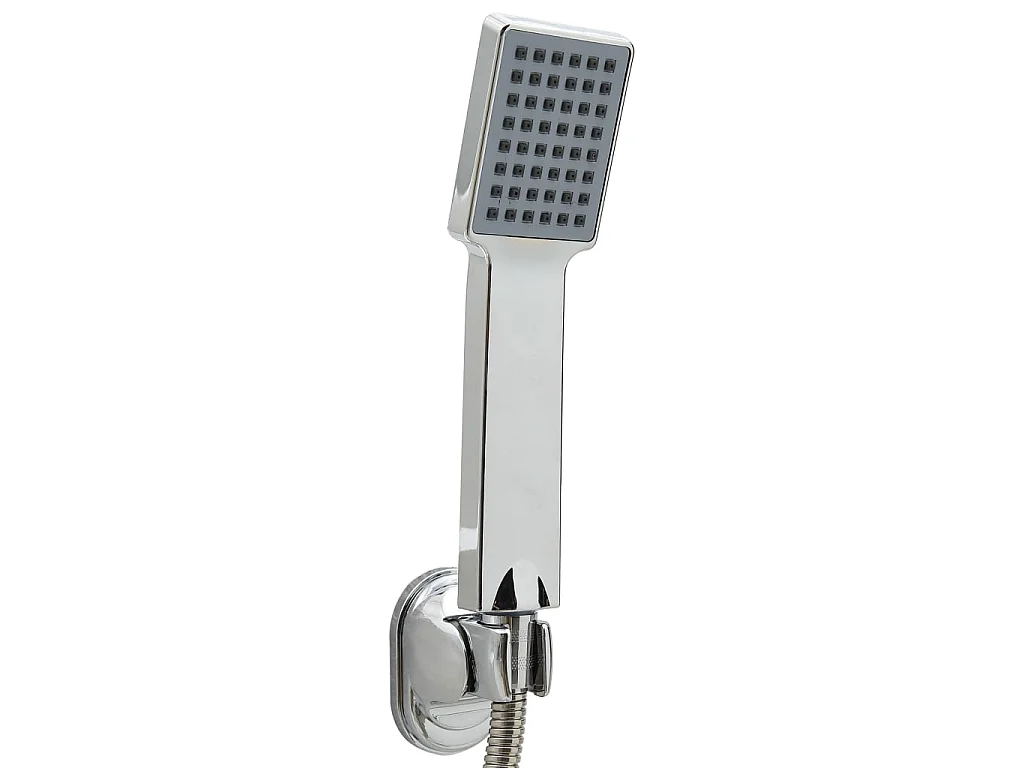 Pomme de douche à main avec tuyau de 1,5 m Chrome WVGQ6509