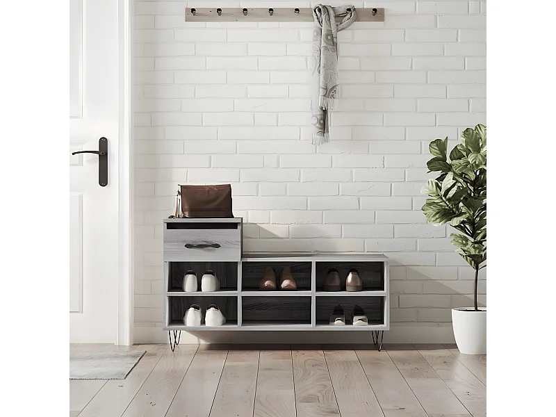 Meuble à chaussures Sonoma gris 102x36x60 cm Bois d'ingénierie WVGQ6560