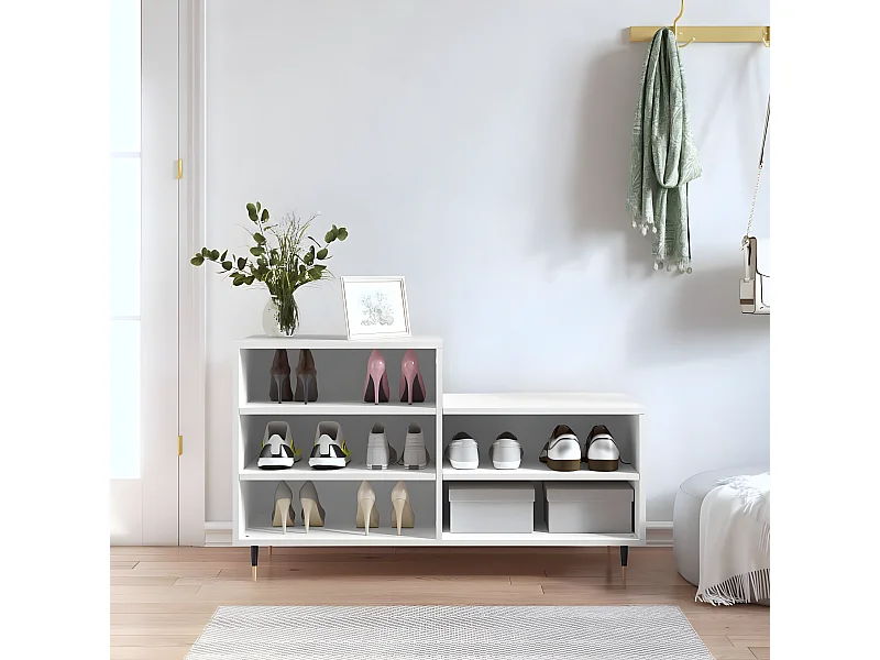 Meuble à chaussures Blanc 102x36x60 cm Bois d'ingénierie WVGQ7161