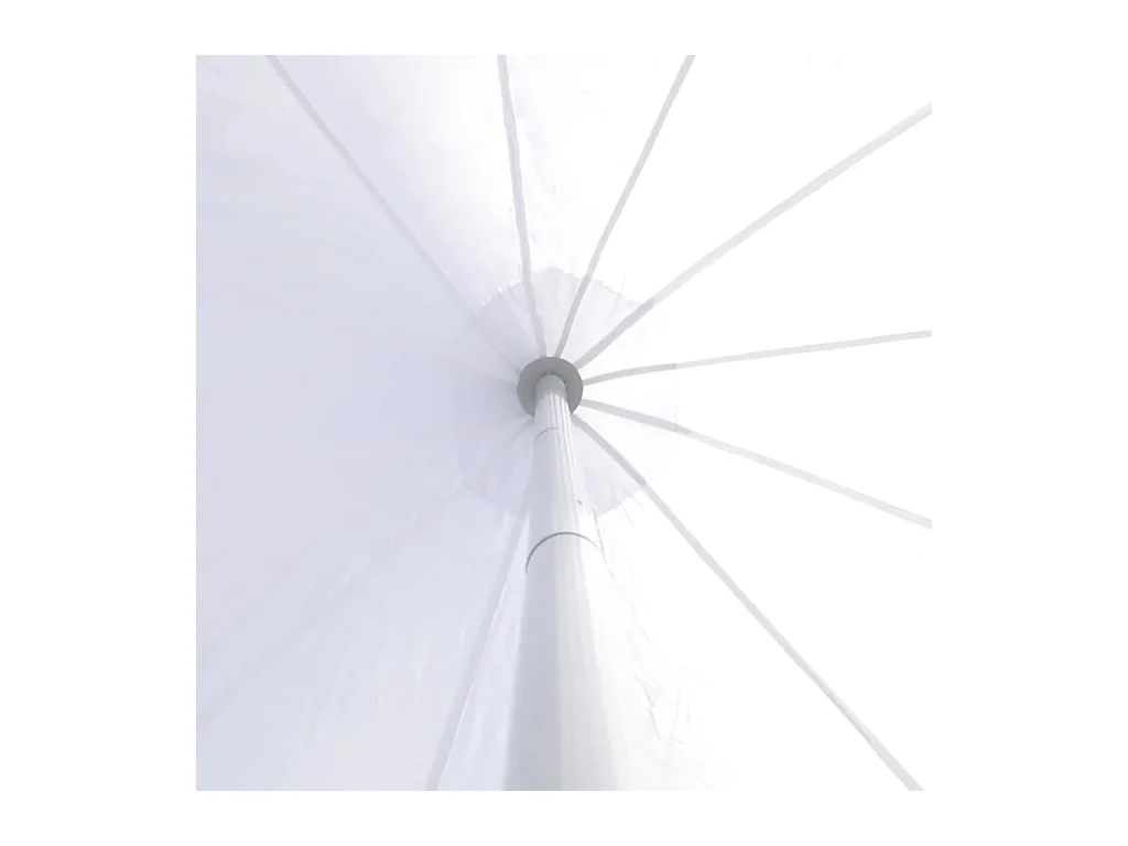 Prieel zeshoekige ster 10 m NL476064