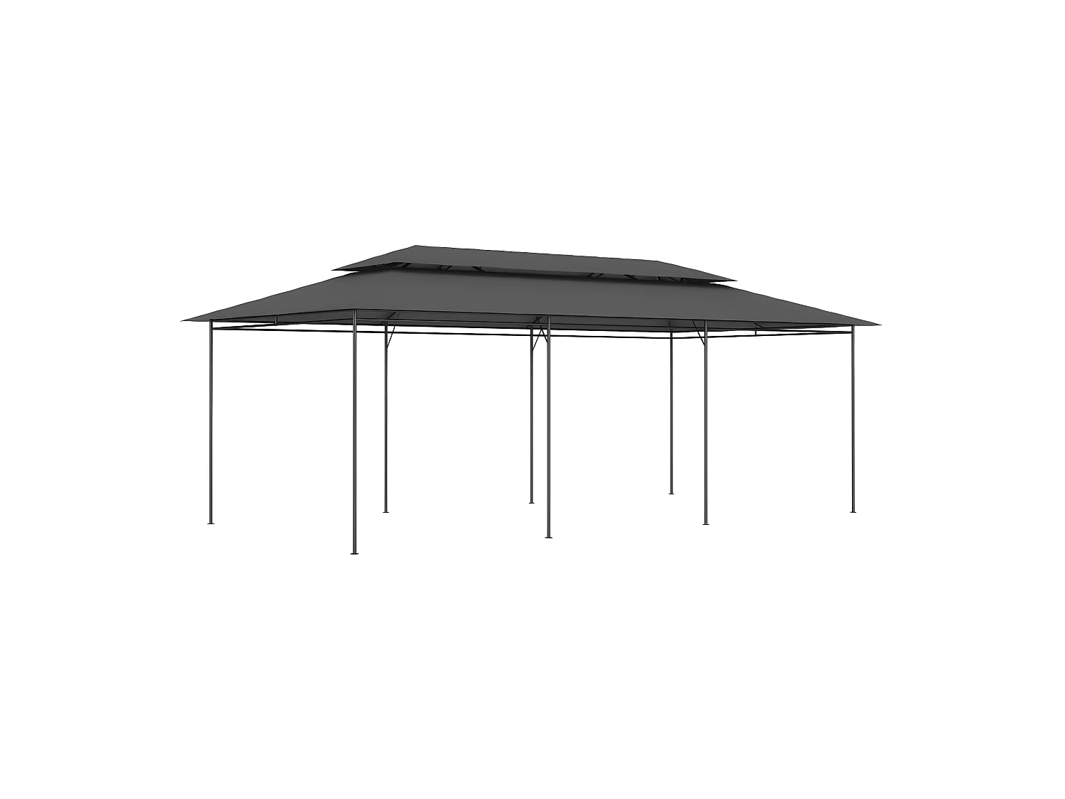 Tonnelle 600x298x270 cm Anthracite WVGQ3946