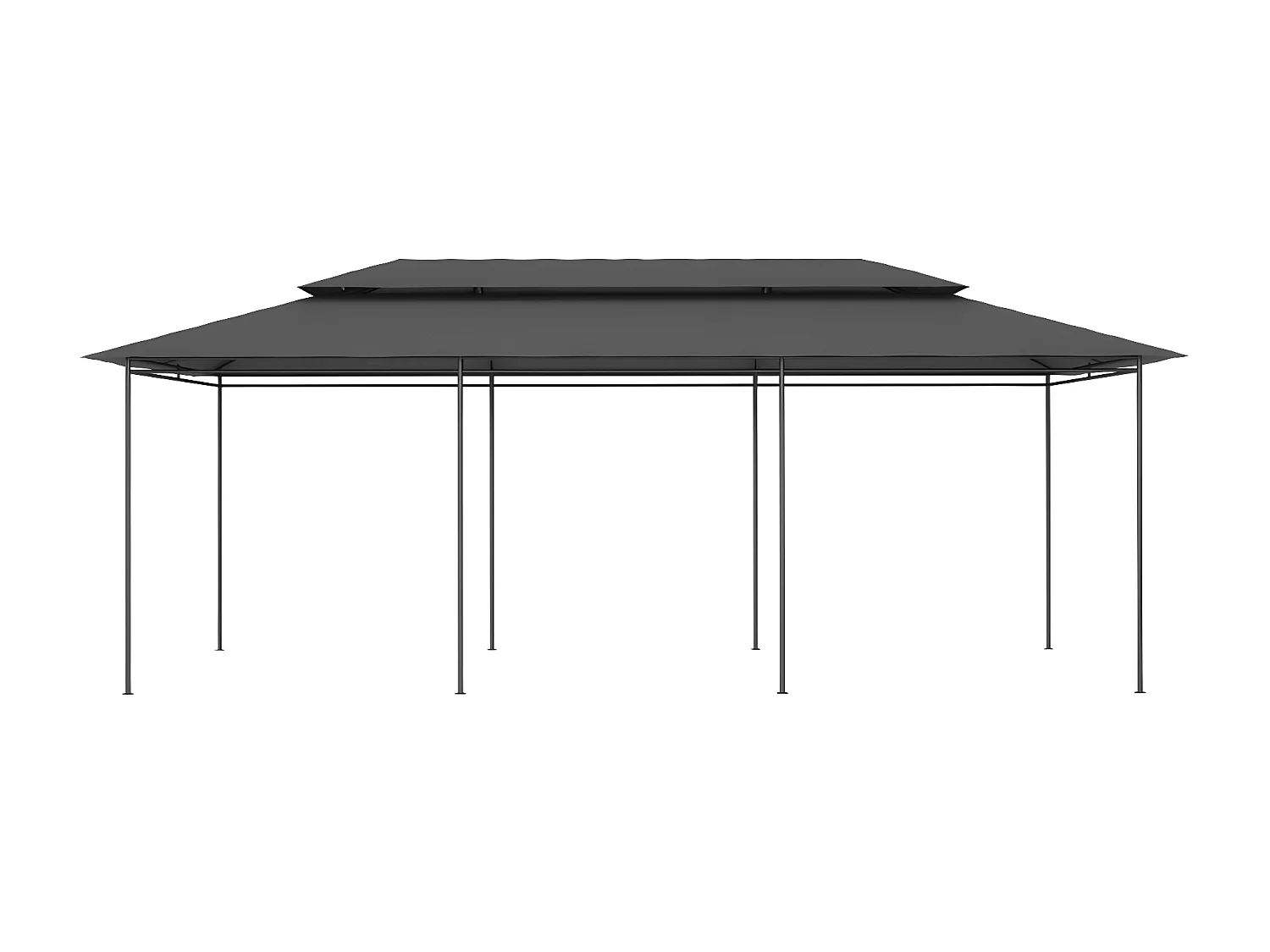 Tonnelle 600x298x270 cm Anthracite WVGQ3946