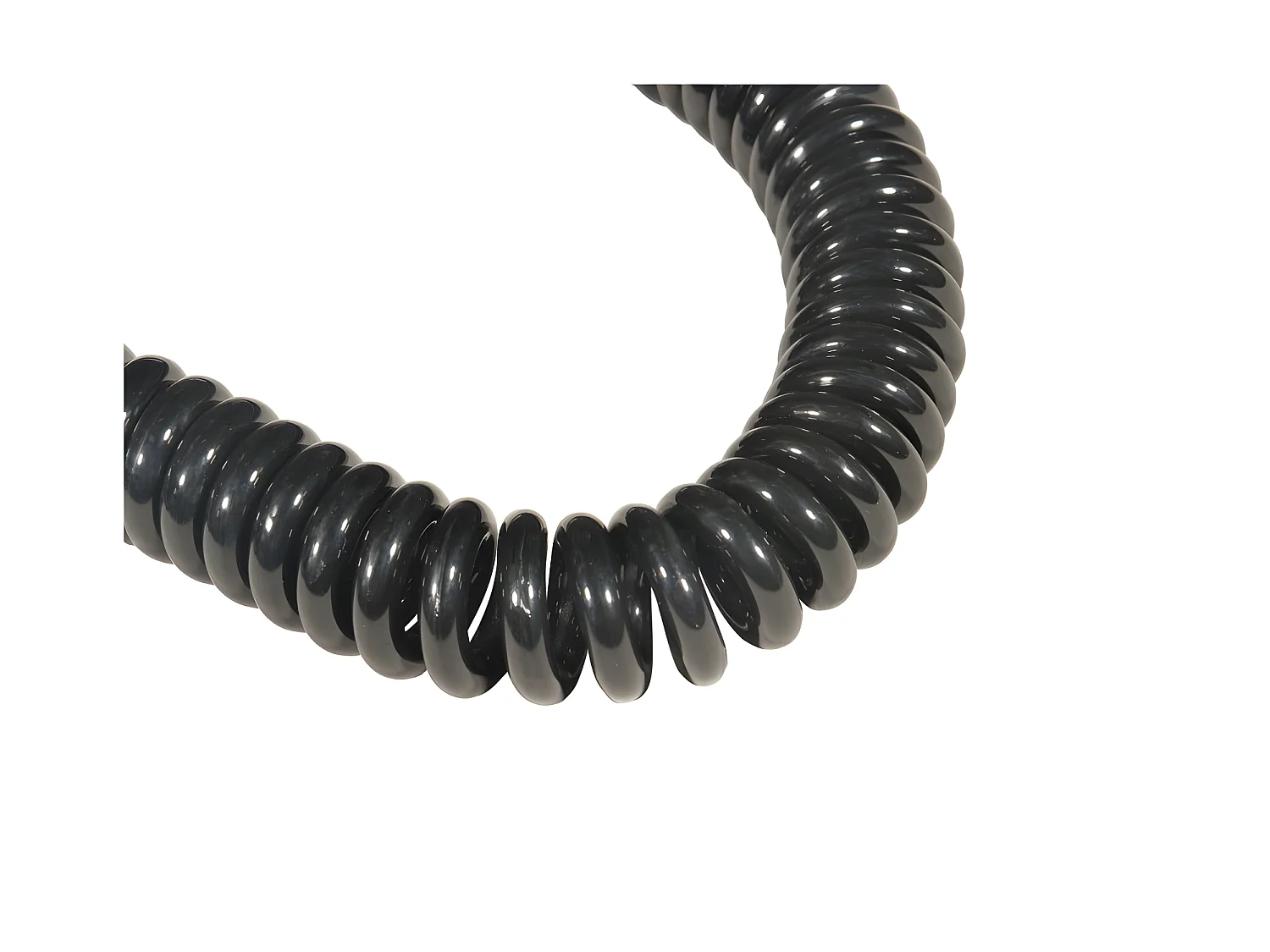 Leash 10' Stand Up Paddle - Longeur 10 Pieds / 305 cm - Universel