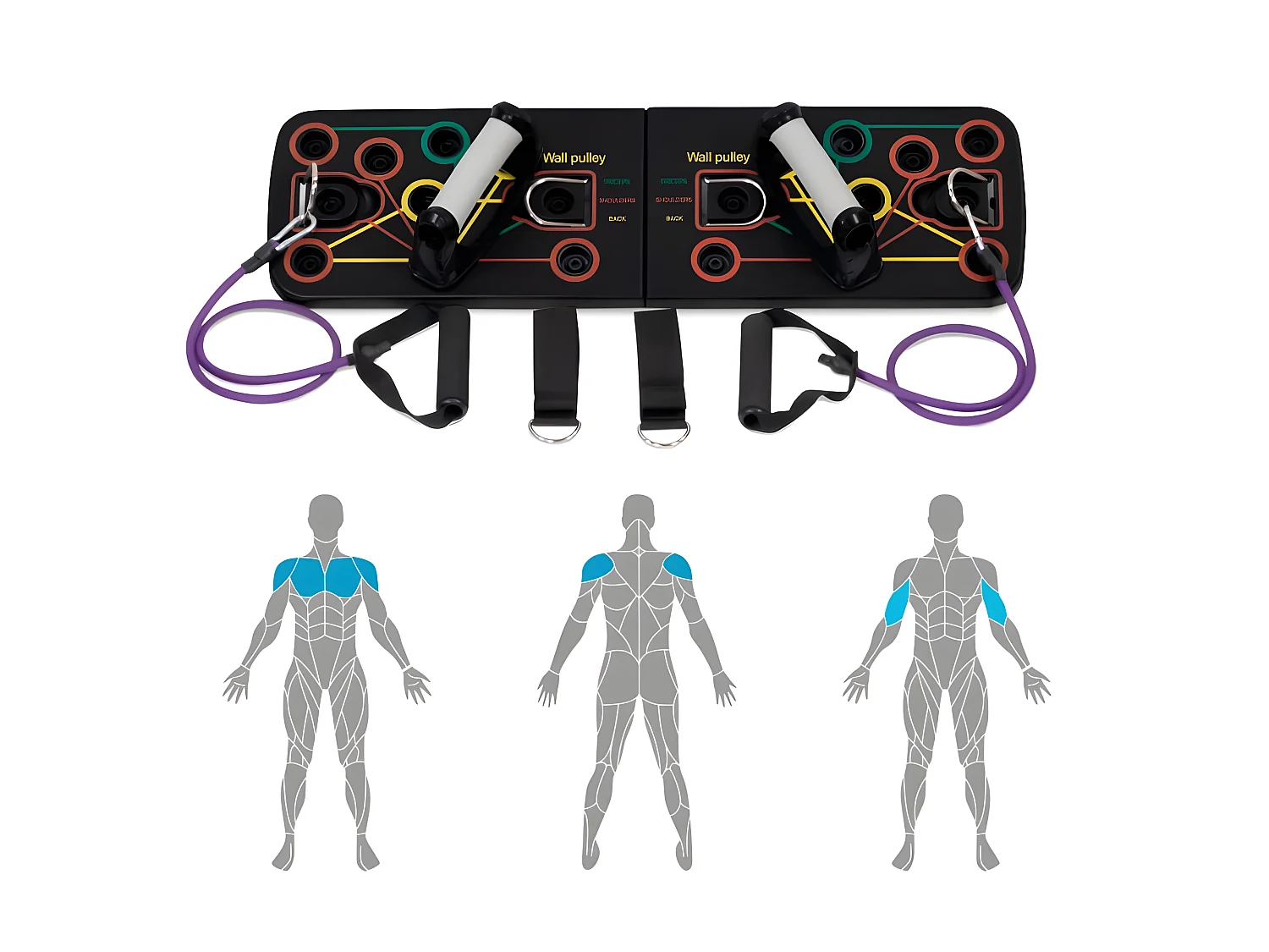 Kit de renforcement musculaire poids du corps SPORTLY