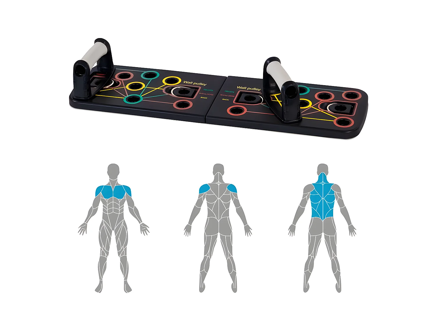 Kit de renforcement musculaire poids du corps SPORTLY