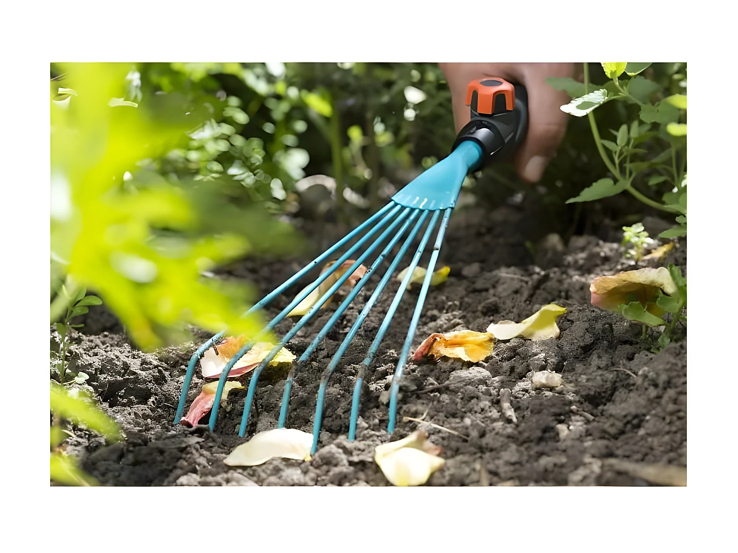 Balai a fleurs 12cm Combisystem - Acier robuste – 7 dents – Ratissage petites plantes et fleurs – Garantie 25 ans