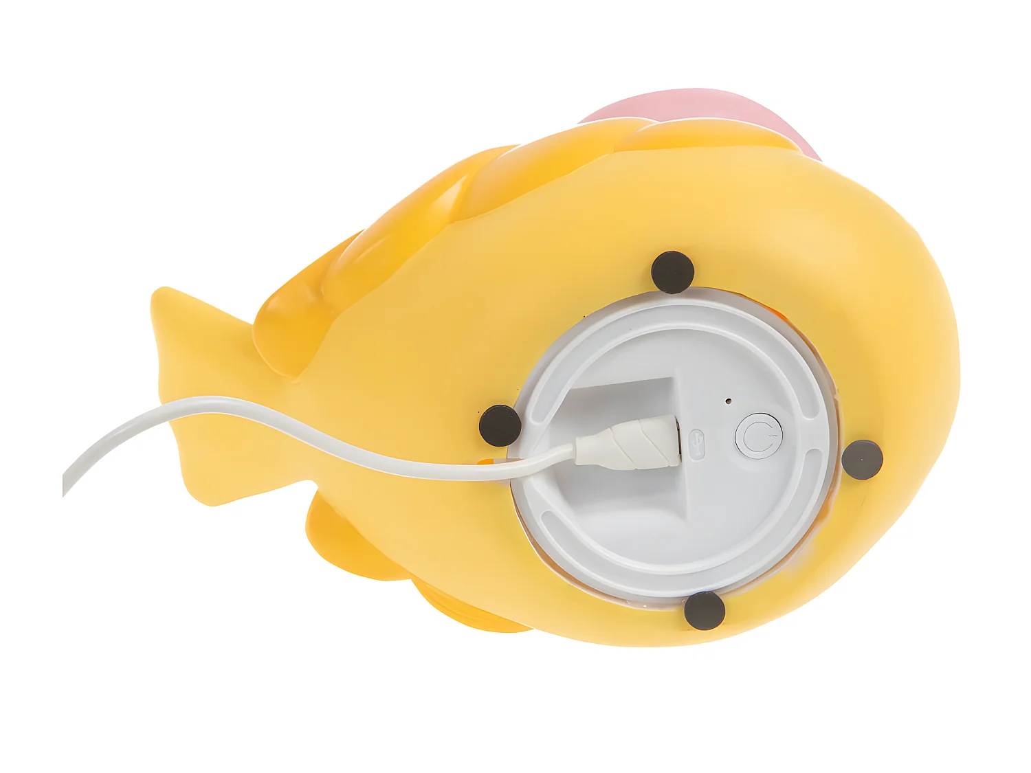 Petite veilleuse moineau