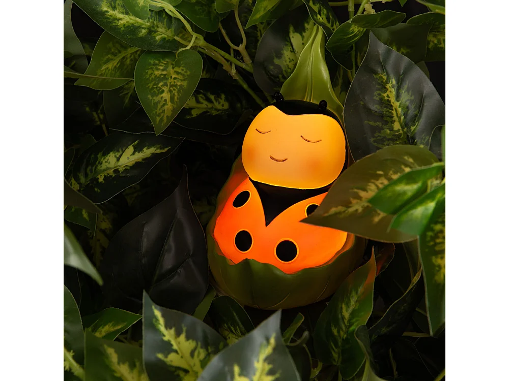 Petite veilleuse Coccinelle