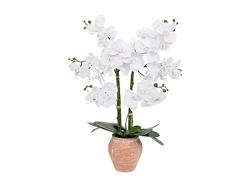 Plante artificielle Orchidée Blanche pot en céramique Terracotta aspect naturel H 65 cm
