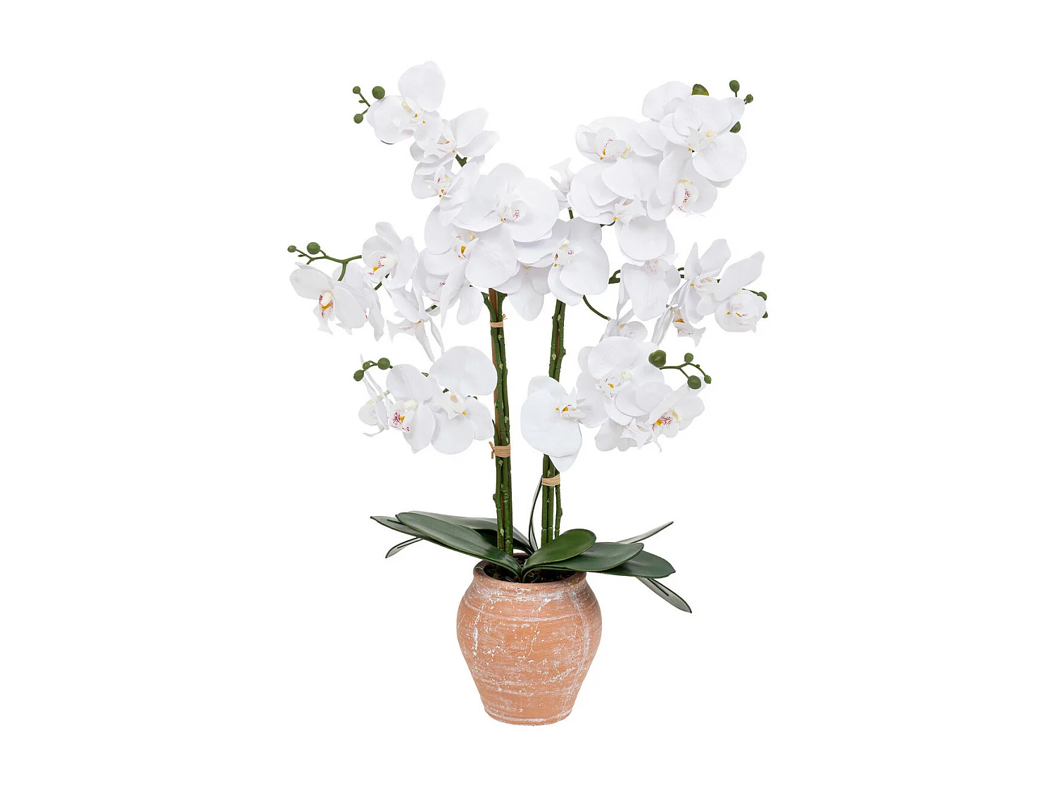 Plante artificielle Orchidée Blanche pot en céramique Terracotta aspect naturel H 65 cm