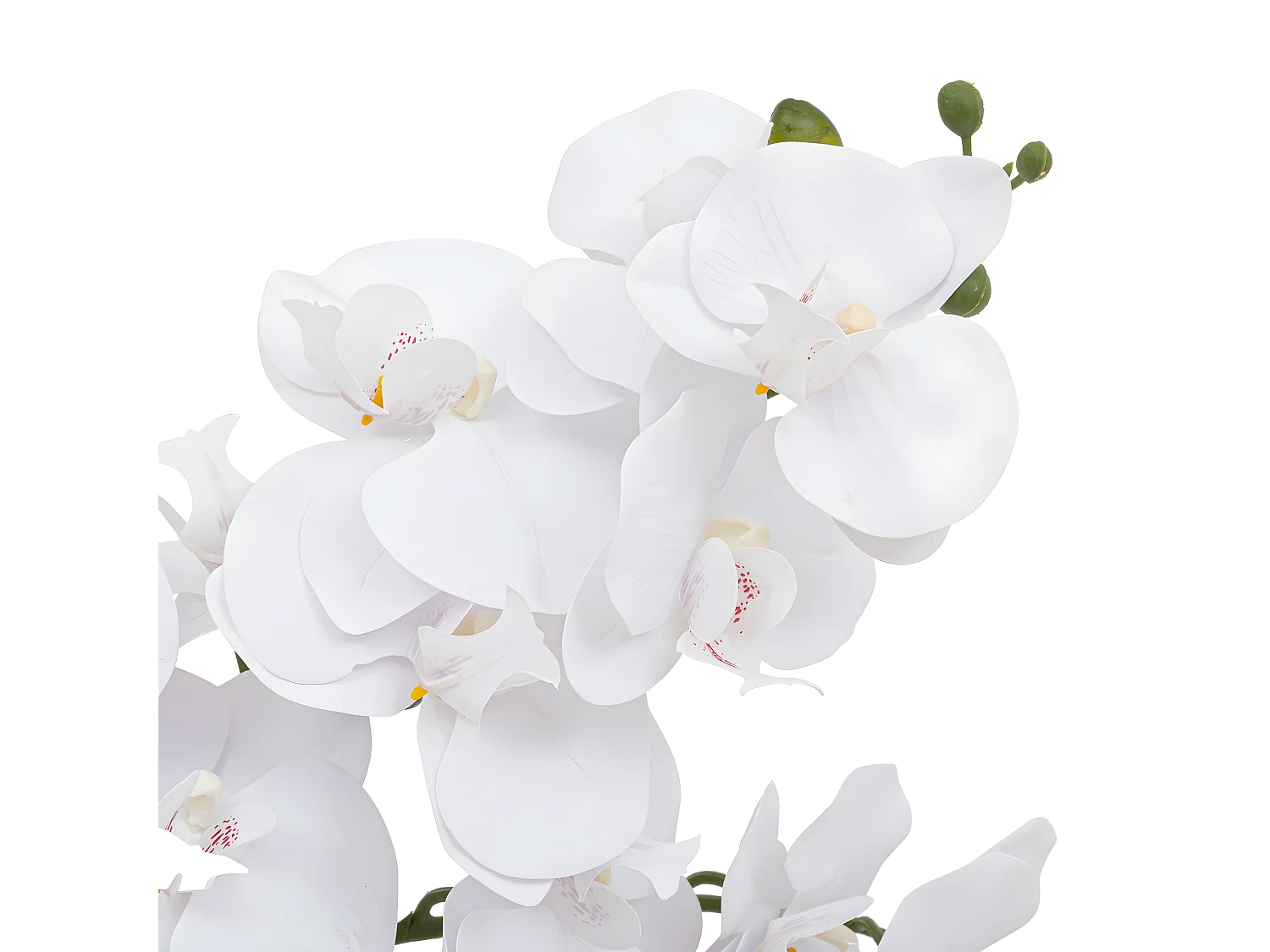 Plante artificielle Orchidée Blanche pot en céramique Terracotta aspect naturel H 65 cm