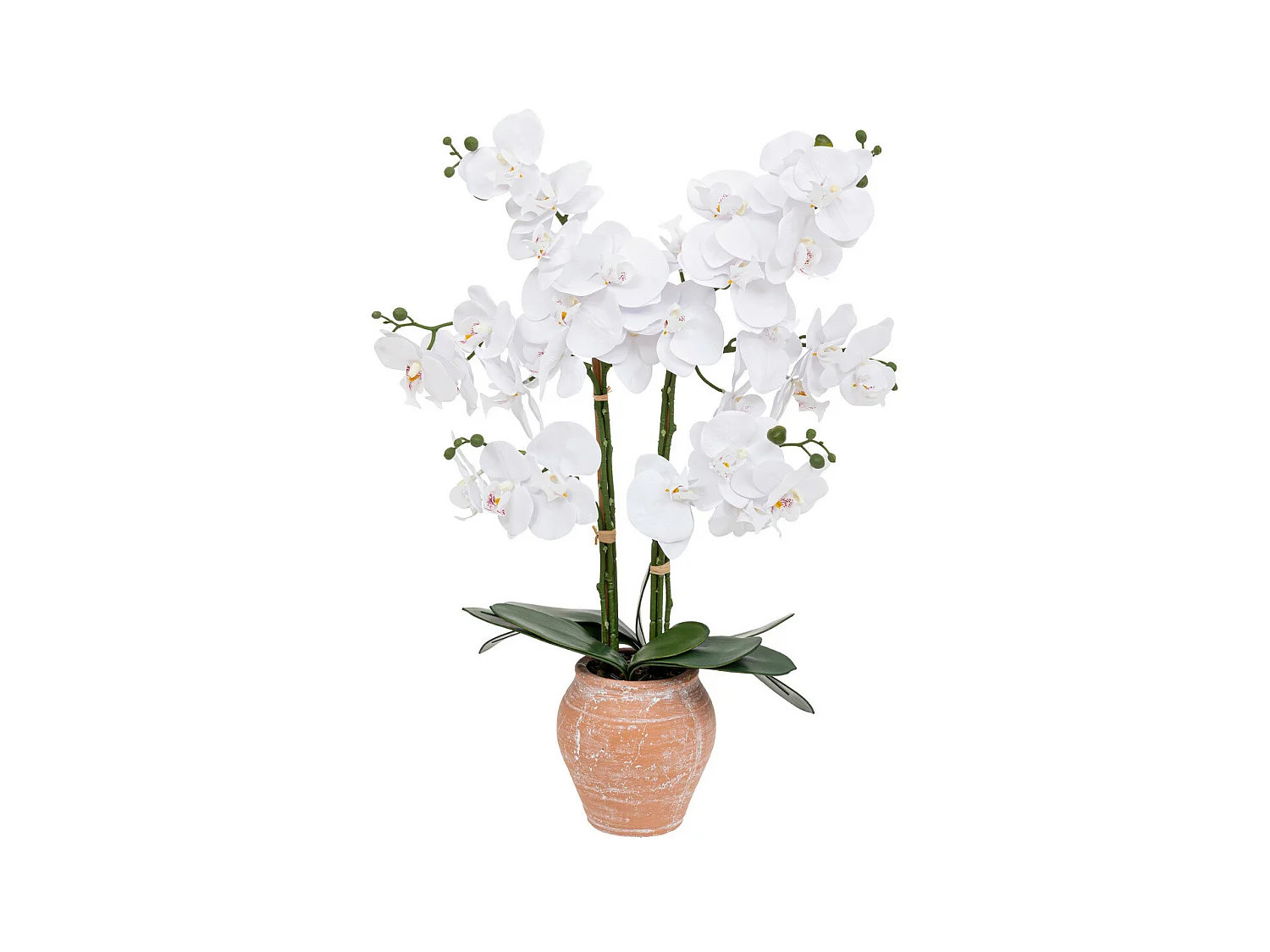 Plante artificielle Orchidée Blanche pot en céramique Terracotta aspect naturel H 65 cm