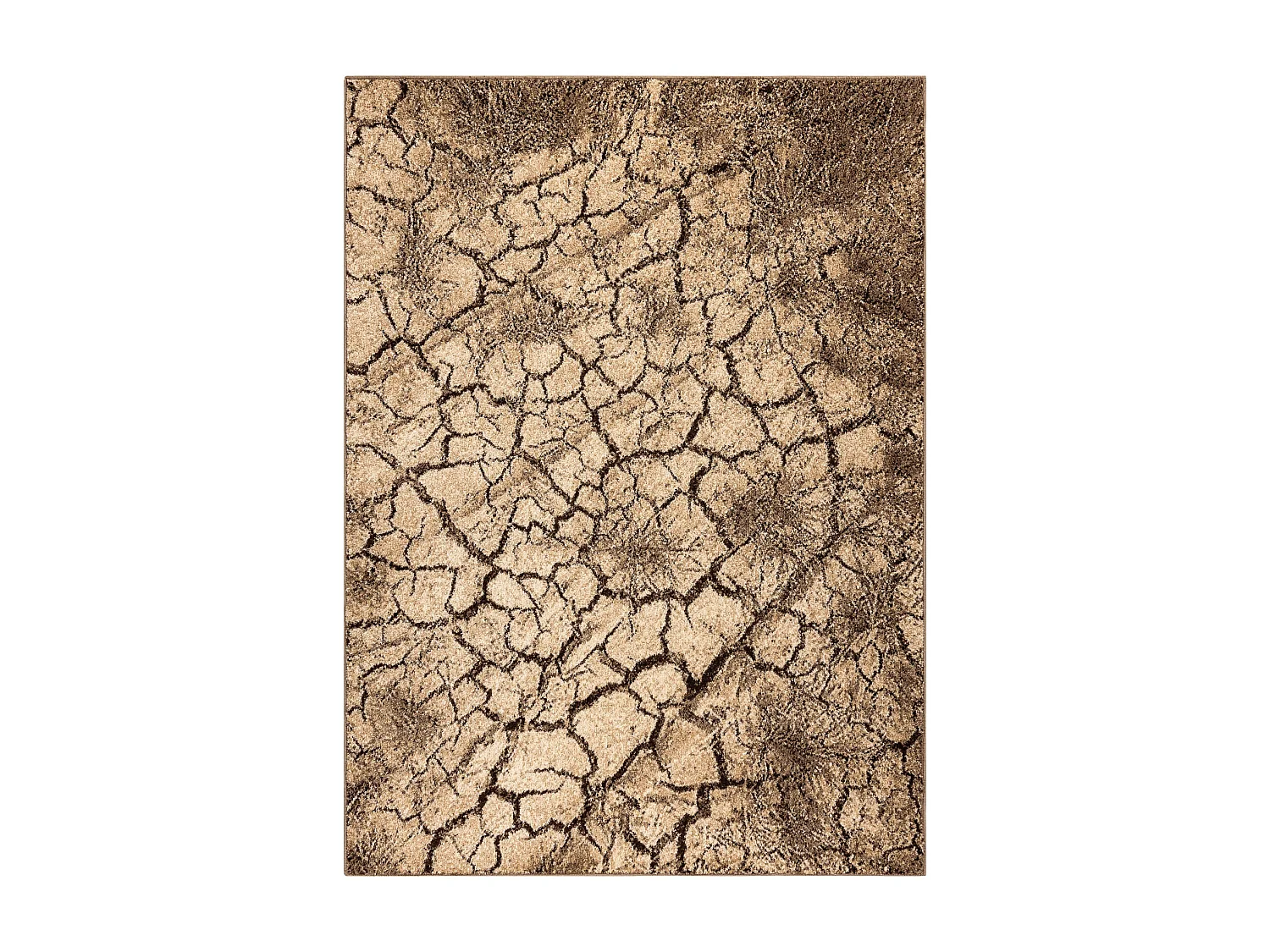 Tapis KARMEL Terra sol fissuré noix  300x400 cm