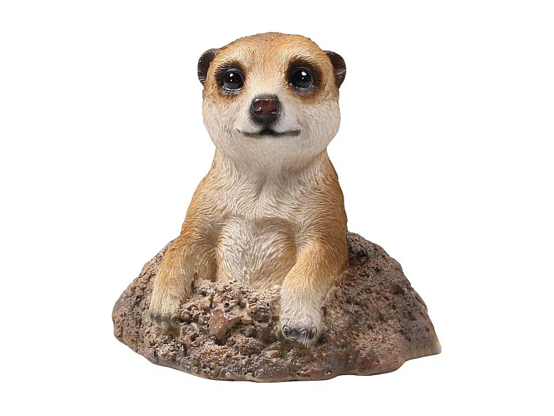 Suricate sortant de terre en résine