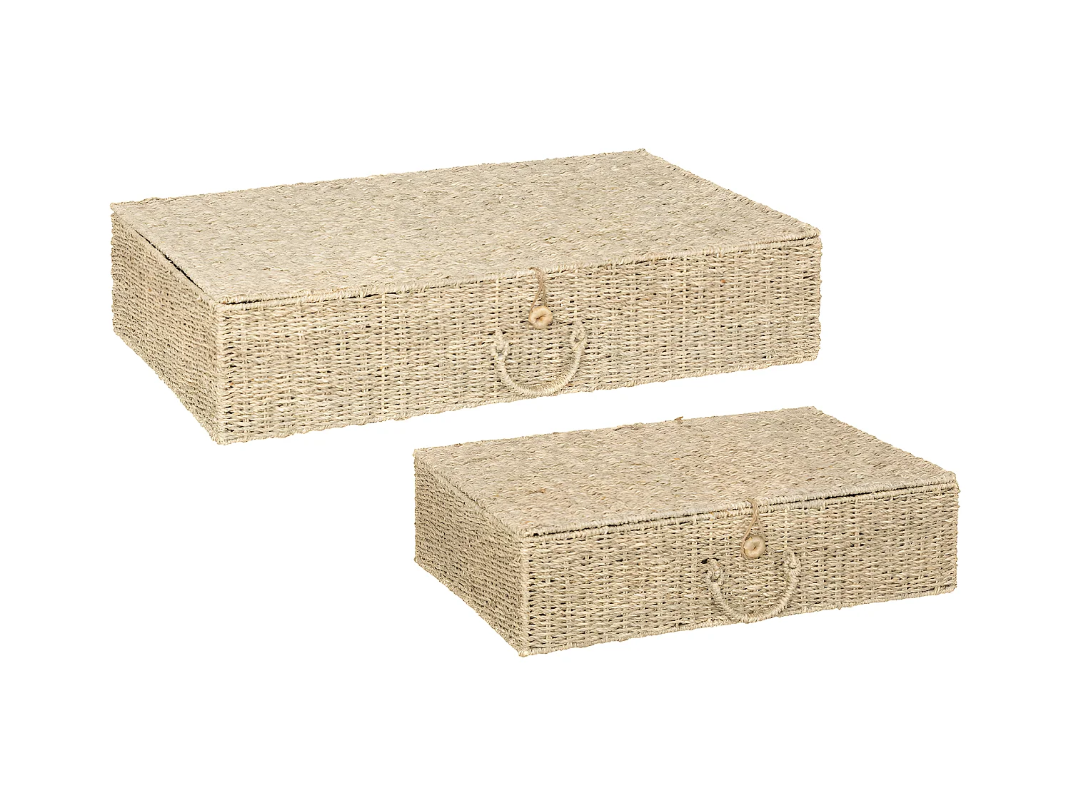 Lot de 2 Grands Paniers de rangement avec couvercle L 80 et L 60 cm