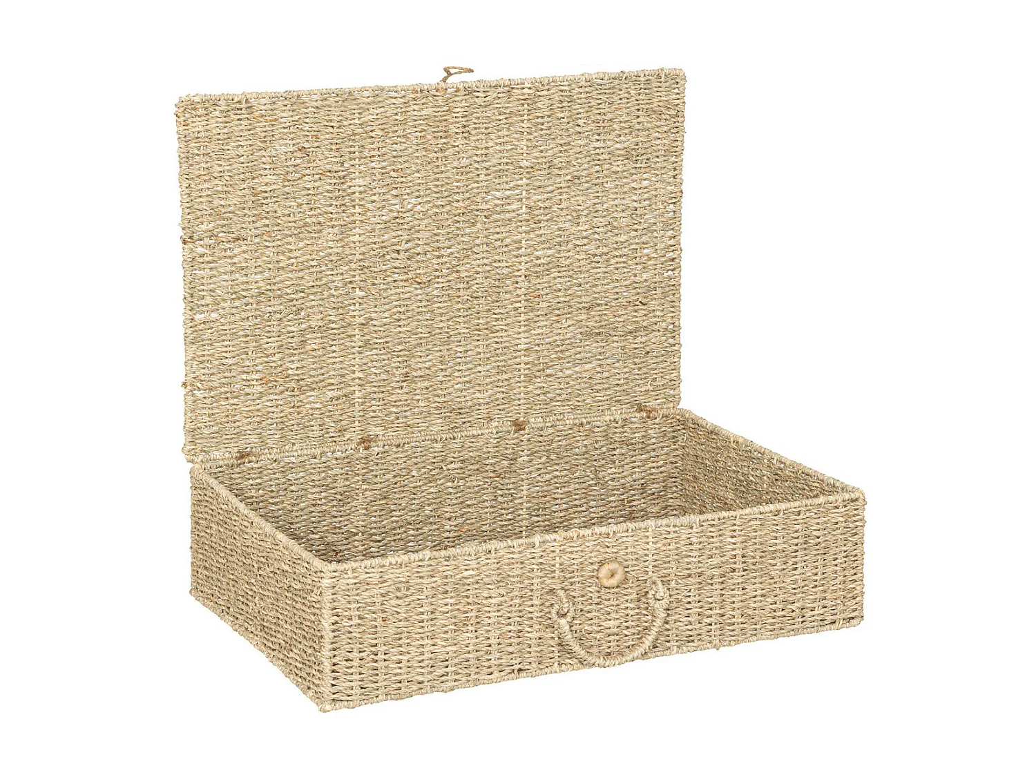 Lot de 2 Grands Paniers de rangement avec couvercle L 80 et L 60 cm