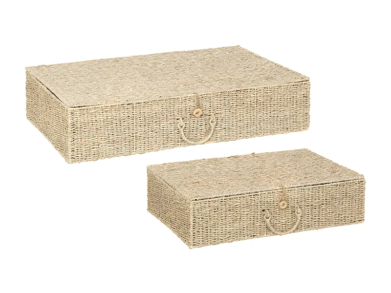 Lot de 2 Grands Paniers de rangement avec couvercle L 80 et L 60 cm