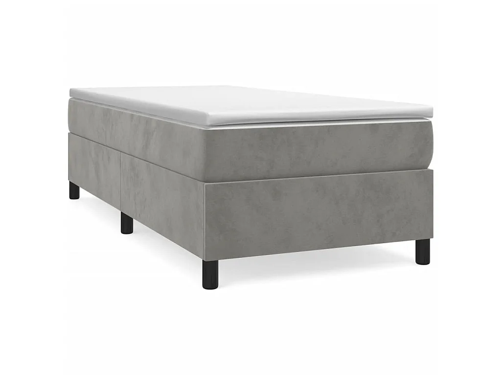Lit adulte Gris clair 100x200 cm Velours BE1320