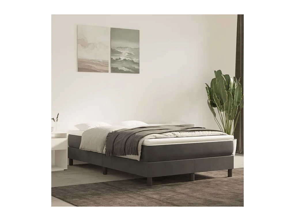 Lit adulte Gris foncé 120x200 cm Velours BE1886