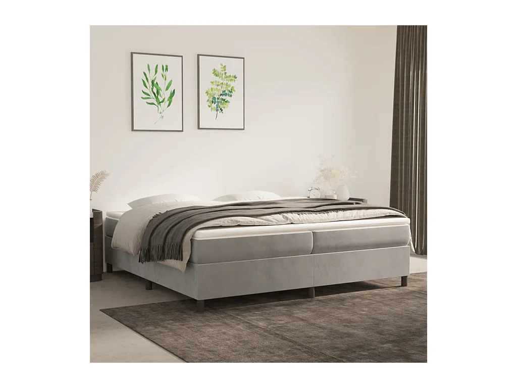Lit adulte Gris clair 200x200 cm Velours BE7495