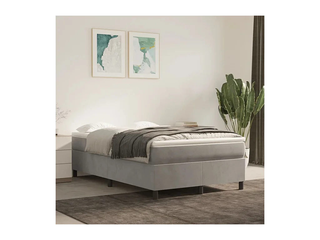 Lit adulte Gris clair 120x200 cm Velours BE7894