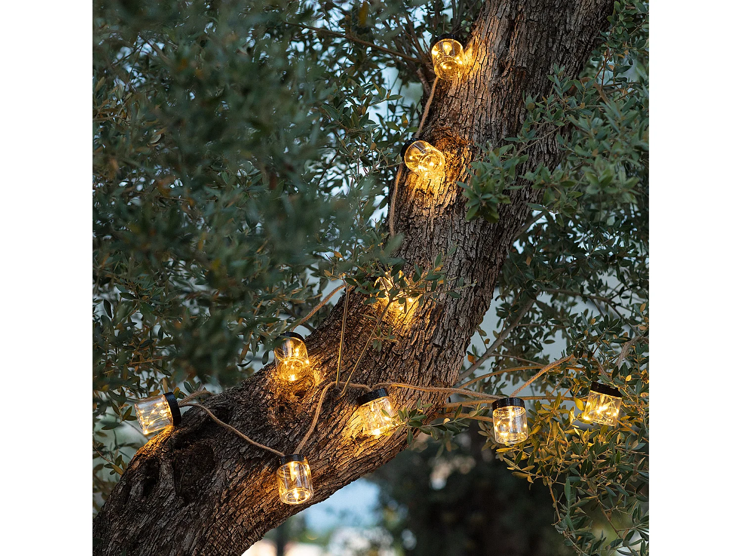 Guirlande LED Extérieure Solaire Tarros 2m Noir