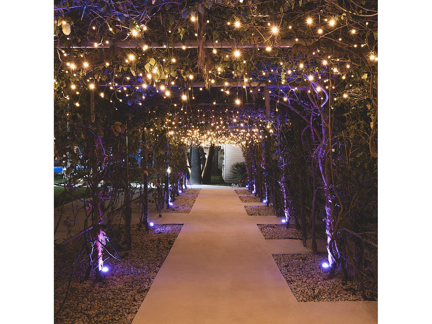 Tenda a Ghirlanda LED Regolabile 3000K Bianco Caldo