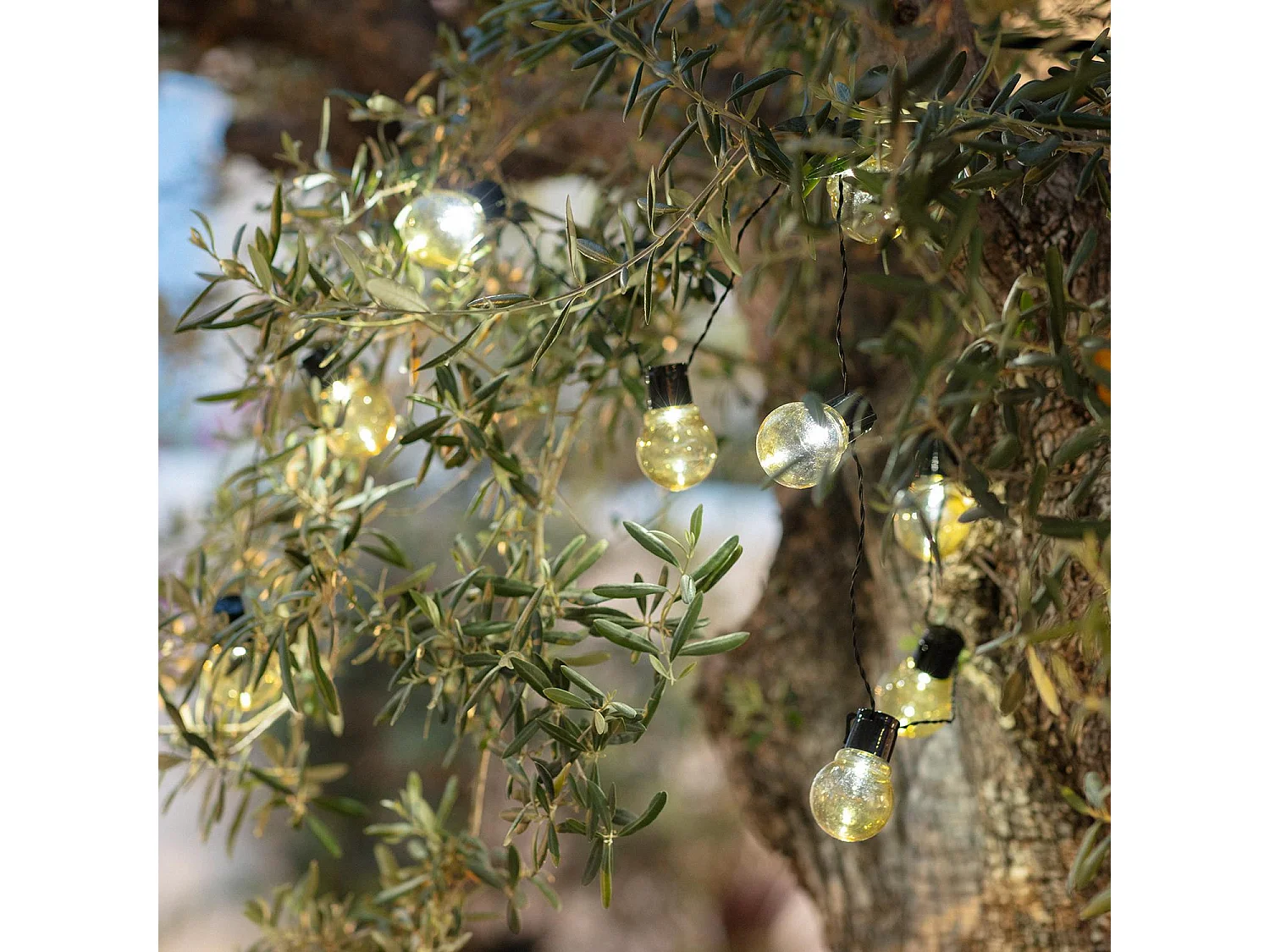 Ghirlanda di Lampadine LED Solare Nikola 2m  6000K Bianco Freddo