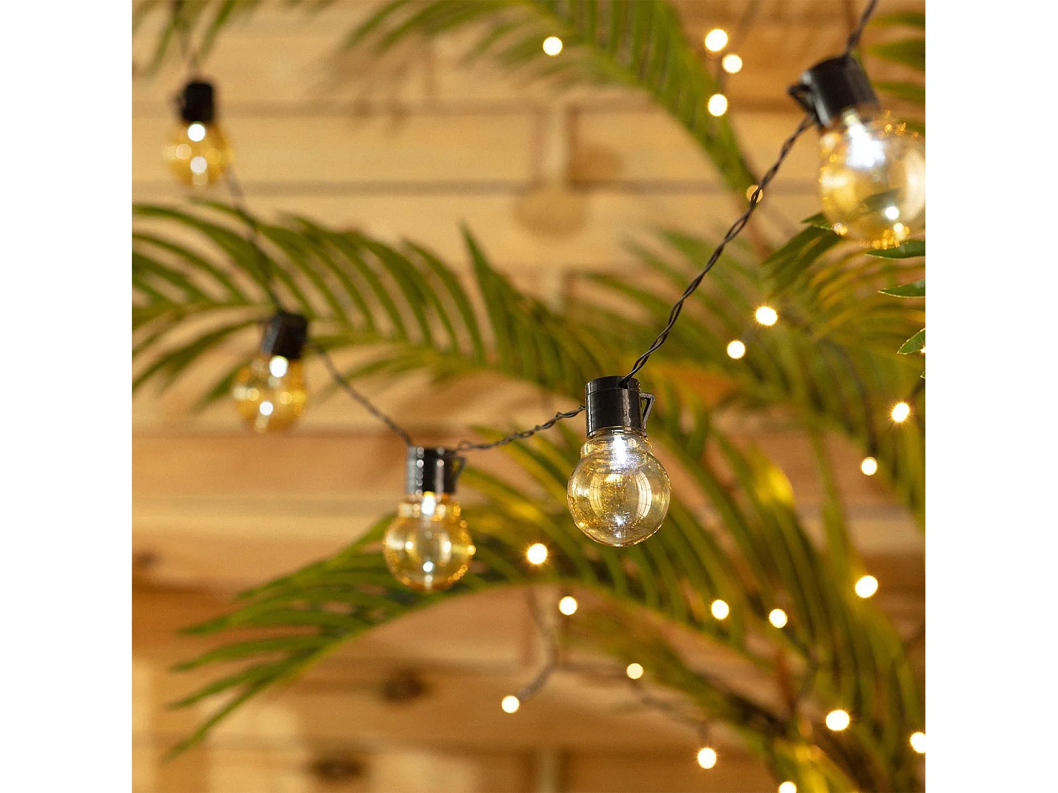 Guirlande d’Ampoules LED Solaire Nikola 2m 6000K Blanc froid